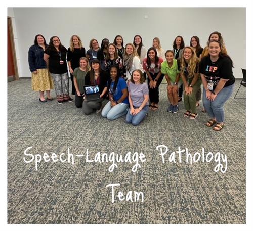 Speech and Language Team 